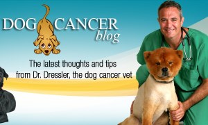 Dog Cancer Blog